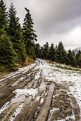 포토 JPG 해외이미지 나무 식물 구름 도로 길 여행 잎 겨울 자국 자연 하늘 아침 산 풍경 사람없음 야외 초록색 걷기 산책 트래킹 하이킹 젖음 시골 거친 황무지 습지 숲 오솔길 땅 먼지 장면 진흙 전나무 내추럴 땅바닥 방법 선로 해외202004 해외포토 주간 자연요소 계절 컬러 교통시설 모션 레저 휴식 바닥 생태계 파일형식 이미지허브