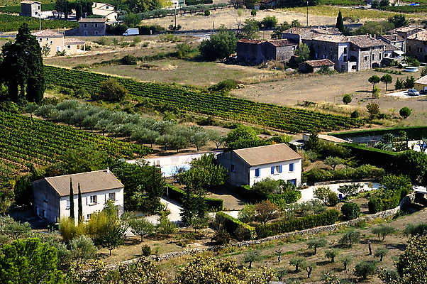 포토 JPG 해외이미지 나무 계절 유럽 밭 농업 건축양식 자연 주택 풍경 사람없음 초록색 여름 컬러풀 태양 마을 환경 계곡 맑음 프랑스 시골 재산 땅 지중해 올리브 포도나무 남쪽 내추럴 프랑스어 프로방스 수평선 해외202004 해외포토 자연요소 식물 문자 열매 건축 나라 산업 바다 컬러 날씨 건물 금융 과일나무 방향 생태계 파일형식 이미지허브