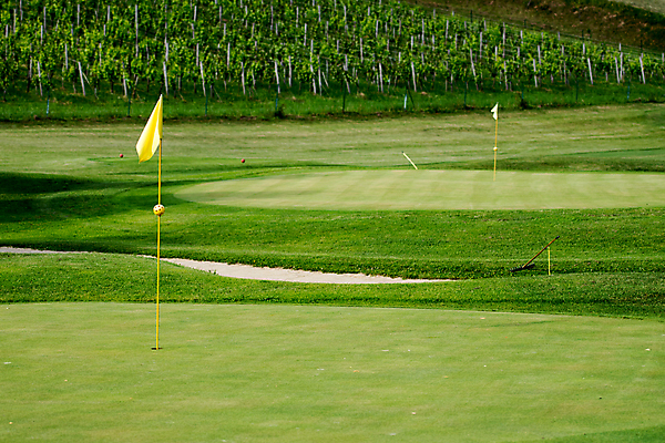 포토 JPG 해외이미지 라이프스타일 스포츠 컨셉 밭 골프 자연 놀이 휴가 그림자 풍경 잔디 취미 사람없음 야외 초록색 여름 우주 경쟁 게임 깃발 구멍 그늘 강의 오브젝트 클럽 휴양지 포도밭 봉 올가미 내추럴 넣기 땅바닥 슬로베니아 어려움 페어웨이 해외202004 해외포토 식물 계절 유럽 컬러 농업 모션 바닥 생활 구기 장소 생태계 파일형식 이미지허브