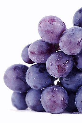 포토 JPG 해외이미지 음식 백그라운드 과일 포도 사람없음 파란색 신선 닫기 떨어짐 다발 고립 숙성 해외202004 해외포토 컬러 컨셉 모션 파일형식 이미지허브