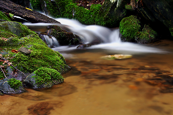 포토 JPG 해외이미지 이끼 사람없음 초록색 물 평화 침묵 신선 개울 시원함 통나무 암초 테라피 해외202004 해외포토 자연요소 나무 컬러 컨셉 강 뷰티 소리 파일형식 이미지허브