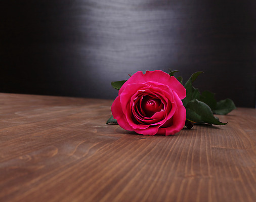 포토 JPG 해외이미지 꽃잎 꽃 분홍색 꽃다발 백그라운드 잎 꽃무늬 프레임 사람없음 목재 빨간색 장미 봄 그런지 해외202004 해외포토 나무 식물 계절 컬러 무늬 재료 파일형식 이미지허브