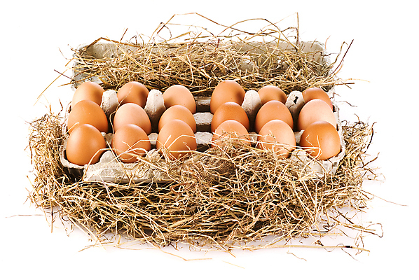 포토 JPG 해외이미지 음식 재료 아침 실내 건강 사람없음 농장 바구니 모임 껍질 시골 신선 그룹 볏짚 수집 깃털 속도 유기농 날것 밀짚 외양간 고립 무료 생식 해외202004 해외포토 주간 웰빙 농업 내부 짚 파일형식 이미지허브