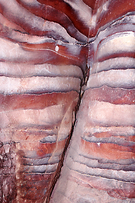 포토 JPG 해외이미지 디자인 벽 분홍색 여행 백그라운드 패턴 곡선 건축양식 자연 추상 사람없음 빨간색 컬러풀 세계 골짜기 사막 탐험 동굴 균열 닫기 중앙 부식 질감 사암 층 동쪽 목각 내추럴 요르단 지질학 해외202004 해외포토 교육 건축 선 컬러 무늬 중동 모션 돌_바위 방향 생태계 파일형식 이미지허브