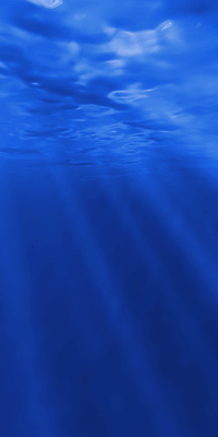 포토 JPG 해외이미지 실루엣 호수 파도 바다 백그라운드 패턴 자연 하늘 표면 추상 휴가 새로움 사람없음 야외 물 파란색 빛 강 햇빛 태양 3D 수중 수영 자유 광선 신비 아래 다이빙 소금 천국 깊이 해외202004 해외포토 자연요소 컬러 컨셉 무늬 촬영기법 수상스포츠 방향 디지털합성 생태계 위치 수중스포츠 파일형식 이미지허브