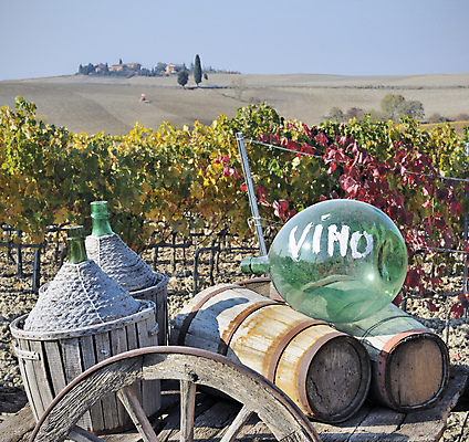 포토 JPG 해외이미지 농업 하늘 풍경 사람없음 야외 빨간색 초록색 파란색 노란색 카트 가을 플라스크 정사각형 포도밭 포도나무 양조 토스카나 해외202004 해외포토 도형 계절 산업 컬러 밭 실험기구 이탈리아 과일나무 파일형식 이미지허브