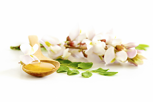 포토 JPG 해외이미지 식물 꽃 음식 백그라운드 잎 다이어트 재료 자연 디저트 건강 사람없음 목재 초록색 노란색 숟가락 저녁식사 봄 흰색 신선 투명 액체 황금 달콤 맛 상품 설탕 먹기 유기농 꿀 벌집 내추럴 점심식사 아카시아 고립 어려움 해외202004 해외포토 나무 웰빙 계절 컬러 컨셉 모션 수저 식사 생태계 파일형식 이미지허브