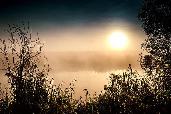포토 JPG 해외이미지 나무 실루엣 호수 백그라운드 자연 하늘 아침 추상 풍경 사람없음 야외 물 여름 빛 강 태양 반사 일본 검은색 중국 어둠 새벽 할로윈 수확 안개 광선 달 연못 야간 소프트포커스 신비 복고 장면 후광 광 뿌연 해외202004 해외포토 주간 자연요소 식물 계절 아시아 컬러 컨셉 무늬 농업 날씨 촬영기법 생태계 파일형식 이미지허브