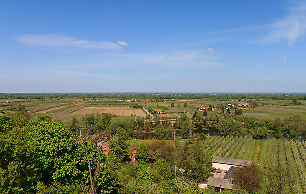 포토 JPG 해외이미지 나무 식물 구름 여행 백그라운드 밭 농업 자연 날씨 주택 풍경 잔디 사람없음 야외 초록색 여름 컬러풀 태양 농장 환경 맑음 봄 시골 신선 땅 폴란드 넘어짐 평야 수평선 해외202004 해외포토 자연요소 계절 유럽 산업 컬러 모션 건물 생태계 파일형식 이미지허브
