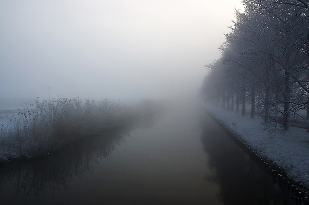 포토 JPG 해외이미지 나무 계절 겨울 아침 풍경 사람없음 물 강 황혼 안개 개울 12월 속도 수평선 해외202004 해외포토 주간 자연요소 식물 날씨 일몰 날짜 파일형식 이미지허브
