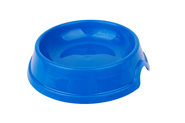 포토 JPG 해외이미지 동물 음식 백그라운드 뼈 육류 사람없음 빨간색 파란색 반려동물 고양이 흰색 사발 개 먹이 먹기 고립 기르기 단백질 해외202004 해외포토 컬러 식재료 포유류 모션 사기그릇 돌봄 영양소 파일형식 이미지허브