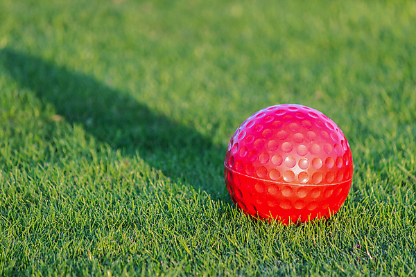 포토 JPG 해외이미지 스포츠 백그라운드 컨셉 패턴 밭 골프 공 자연 놀이 휴가 골프공 건강 그림자 잔디 취미 사람없음 야외 빨간색 초록색 여름 빛 햇빛 경쟁 골프채 게임 원형 골퍼 닫기 저녁 강의 묘사 오브젝트 그네 클럽 질감 거짓말 여의주 해외202004 해외포토 도형 식물 계절 컬러 무늬 농업 모션 운동선수 골프용품 태양 구기 야간 생태계 파일형식 이미지허브