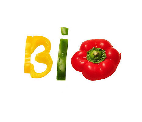 포토 JPG 해외이미지 접시 음식 조각 채소 텍스트 자연 건강 사람없음 빨간색 초록색 노란색 흰색 먹기 유기농 생태계 고립 바이오 해외202004 해외포토 식기 웰빙 컬러 모션 파일형식 이미지허브