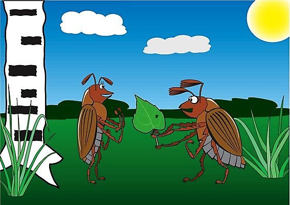 EPS 해외이미지 모양 나무 식물 디자인 계절 실루엣 곤충 잎 꽃무늬 일러스트 자연 추상 휴가 안테나 발렌타인데이 선물 사랑 미술 이벤트 초록색 봄 나뭇가지 축하 인사 생일 그리기 유머 우아함 벌레 숲 작음 만화 딱정벌레 활 싱글 해외202004 해외일러스트 동물 기념일 꽃 감정 컬러 컨셉 무늬 통신 모션 데이이벤트 문화예술 촬영기법 예절 크기 생태계 파일형식 벡터 이미지허브