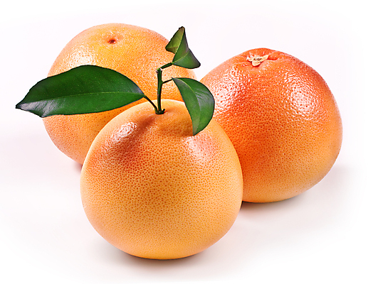 포토 JPG 해외이미지 음식 분홍색 오렌지 과일 부분 귤 건강 사람없음 빨간색 초록색 농작물 노란색 흰색 나뭇가지 신선 그룹 먹기 오브젝트 고립 숙성 채식주의자 해외202004 해외포토 나무 컬러 농업 모션 채식 파일형식 이미지허브