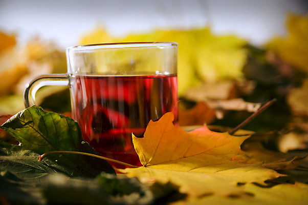 포토 JPG 해외이미지 식물 전통 라이프스타일 꽃 문화 음료 백그라운드 잎 농업 재료 유리 아침 휴식 건강 연꽃 사람없음 컵 초록색 농작물 약 농장 갈색 중국 어둠 침묵 카페 머그컵 뜨거움 투명 사발 황금 차 아침식사 냄비 찻주전자 허브 동쪽 해외202004 해외포토 주간 식기 산업 아시아 컬러 컨셉 의학 재질 주전자 생활 상점 식사 소리 사기그릇 솥 방향 파일형식 자연요소 그릇 나라 주방용품 생활용품 오브젝트 이미지허브