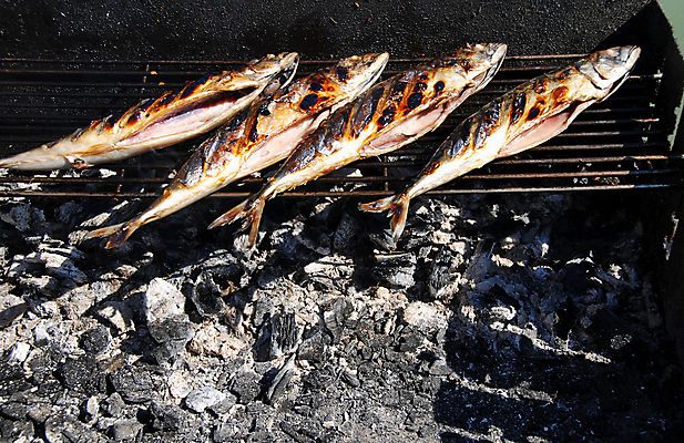 포토 JPG 해외이미지 접시 자연 어류 요리 사람없음 야외 갈색 금속 튀김 오픈 4 그릴 바비큐 굽기 해산물 냄새 창살 고등어 숯 훈제 내추럴 해외202004 해외포토 식기 음식 컬러 재질 주방용품 숫자 수중동물 구이 생태계 파일형식 이미지허브