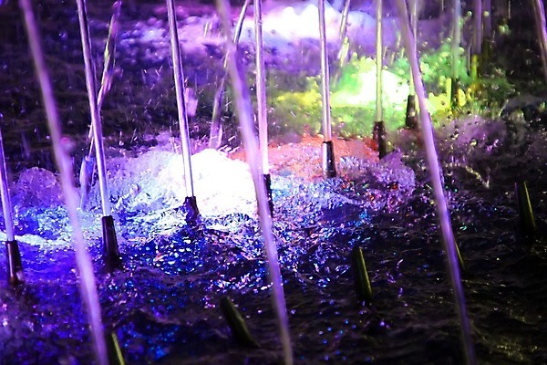 포토 JPG 해외이미지 전통 행복 별 어린이 크리스마스 공 창문 가족 눈사람 지팡이 새로움 기념 프레임 따뜻함 사탕 선물 이벤트 사람없음 야외 내부 장식 물 빛 컬러풀 장난감 산타클로스 반사 축제 화환 축하 아기 소나무 황금 야간 12월 연도 분수 초대 제트기 마법 전나무 원뿔 엘리먼트 해외202004 해외포토 자연요소 도형 나무 기념일 꽃 감정 컬러 컨셉 관계 디저트 비행기 사람 날짜 파일형식 이미지허브