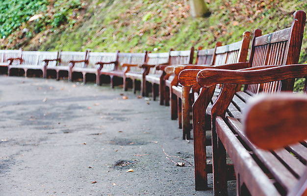 포토 JPG 해외이미지 나무 계절 공원 길 백그라운드 벤치 의자 오렌지 자연 풍경 사람없음 야외 목재 초록색 파란색 빛 갈색 노란색 우주 침묵 추위 수확 가을 도시 원형 은퇴 복고 과거 장면 10월 옛날 해외202004 해외포토 도형 식물 공공시설 컬러 가구 컨셉 농업 과일 재료 소리 날짜 생태계 파일형식 이미지허브
