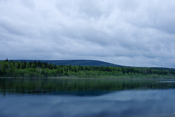 포토 JPG 해외이미지 나무 구름 계절 호수 자연 하늘 날씨 풍경 사람없음 야외 목재 물 여름 파란색 강 컬러풀 반사 환경 침묵 흙 조약돌 바위 시골 저수지 개울 야간 숲 땅 지역 천국 현재 수평선 목가 해외202004 해외포토 자연요소 식물 컬러 컨셉 재료 소리 돌_바위 생태계 파일형식 이미지허브