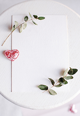 포토 JPG 해외이미지 꽃 종이 프레임 선물 사람없음 장미 나뭇가지 목업 해외202004 해외포토 나무 식물 파일형식 이미지허브