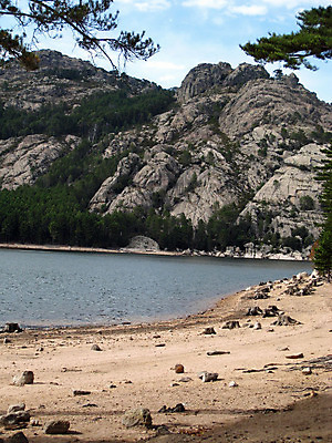 포토 JPG 해외이미지 나무 식물 호수 모래 자연 하늘 산 풍경 사람없음 야외 물 우주 프랑스 숲 코르시카 해외202004 해외포토 자연요소 유럽 섬 생태계 파일형식 이미지허브