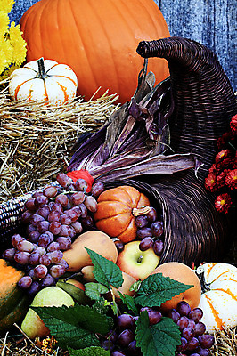 포토 JPG 해외이미지 전통 계절 꽃 음식 잎 채소 과일 호박 포도 휴가 국화 뿔 옥수수 사람없음 농작물 컬러풀 바구니 침묵 수확 가을 시골 신선 사과 배열 심볼 도토리 박 추수감사절 원뿔 뭉치 밀짚 스쿼시 구식 정물화 해외202004 해외포토 도형 식물 기독교 스포츠 컬러 농업 곡류 구기 소리 견과류 짚 그림 파일형식 이미지허브