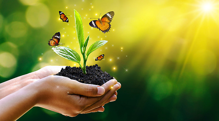 포토 JPG 해외이미지 나무 식물 손 지구 어린이 백그라운드 컨셉 잎 농업 가족 자연 새로움 관리 씨앗 사람없음 초록색 세계 글로벌 지구본 환경 흙 봄 행성 성장 잡기 보호 숲 에코 생태계 원예 유지 개발 돌봄 모종 생태학 소셜 심기 옛날 해외202004 해외포토 계절 교육 산업 컬러 관계 모션 사람 취미 신체부위 우주 파일형식 이미지허브