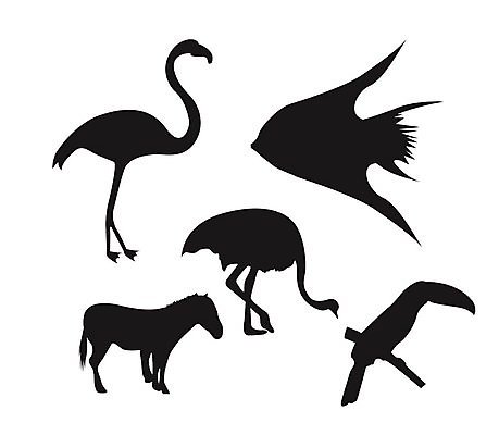 EPS 해외이미지 동물 디자인 실루엣 야생동물 일러스트 포유류 아프리카 자연 생물 동물원 어류 수집 플라밍고 심볼 사파리 얼룩말 타조 동물상 해외202004 해외일러스트 나라 조류 촬영기법 조형물 수중동물 말_동물 생태계 파일형식 벡터 이미지허브