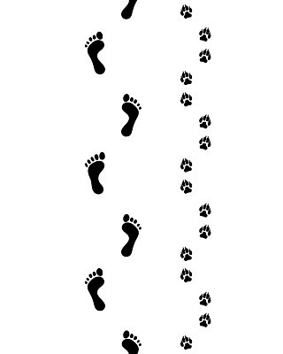 EPS 해외이미지 남자 실루엣 도로 길 백그라운드 신발 2 패턴 일러스트 손가락 자국 사람 야외 달리기 검은색 산책 정보 흰색 개 강아지 인쇄 발자국 만화 심볼 윤곽 우표 단계 내추럴 고립 선로 양발 자취 각인 해외202004 해외일러스트 손 컬러 무늬 포유류 교통시설 모션 휴식 촬영기법 반려동물 파일형식 벡터 이미지허브