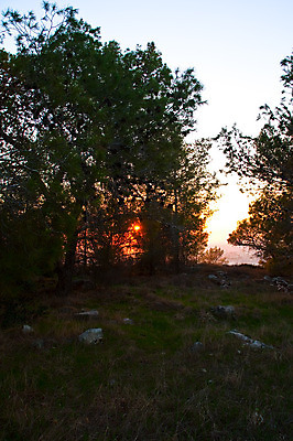 포토 JPG 해외이미지 나무 구름 하늘색 밭 농업 자연 하늘 산 풍경 사람없음 야외 초록색 여름 파란색 환경 계곡 일몰 시골 역사 중앙 지중해 관목 언덕 동쪽 생태학 이스라엘 팔레스타인 해외202004 해외포토 자연요소 식물 계절 교육 산업 바다 컬러 중동 노을 방향 생태계 서아시아 파일형식 이미지허브