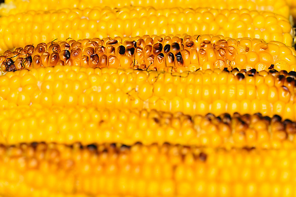 포토 JPG 해외이미지 식물 음식 농업 채소 불 불꽃 건강 옥수수 요리 사람없음 야외 빨간색 여름 소풍 노란색 식사 저녁식사 신선 뜨거움 달콤 맛 그릴 낟알 바비큐 굽기 유기농 숯 내추럴 채식주의자 화상 해외202004 해외포토 자연요소 웰빙 계절 산업 컬러 컨셉 주방용품 곡류 야외활동 상처 구이 채식 파일형식 이미지허브