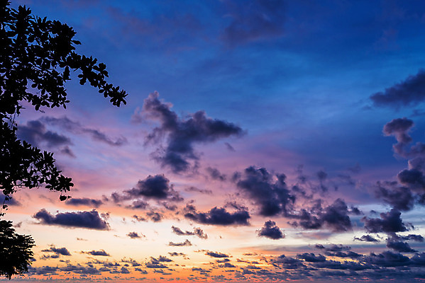 포토 JPG 해외이미지 나무 구름 백그라운드 오렌지 태국 자연 하늘 풍경 사람없음 야외 여름 파란색 빛 컬러풀 햇빛 일출 황혼 일몰 새벽 내추럴 수평선 해외202004 해외포토 자연요소 식물 계절 아시아 컬러 과일 태양 노을 생태계 파일형식 이미지허브
