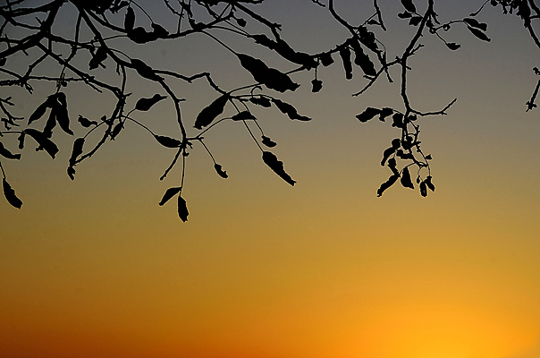 포토 JPG 해외이미지 구름 계절 실루엣 여행 백그라운드 오렌지 자연 날씨 휴가 휴식 풍경 사람없음 빨간색 여름 파란색 빛 햇빛 태양 반사 일출 환경 맑음 황혼 일몰 새벽 자유 저녁 장면 천국 내일 오존 수평선 해외202004 해외포토 자연요소 컬러 컨셉 과일 촬영기법 노을 야간 생태계 파일형식 이미지허브