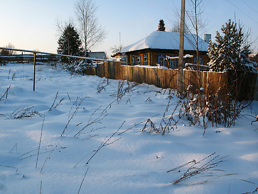포토 JPG 해외이미지 나무 겨울 그림자 사람없음 마을 추위 도시 해외202004 해외포토 식물 계절 파일형식 이미지허브