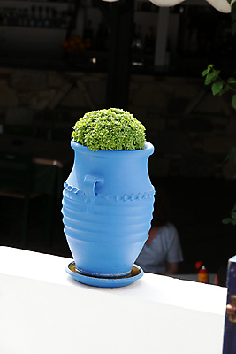 포토 JPG 해외이미지 식물 전통 꽃 문화 섬 휴가 주택 미술 사람없음 야외 장식 파란색 갈색 계단 마을 꽃병 페인트 흰색 시골 조끼 도자기 냄비 큼 지중해 그리스 그림 토기 거인 그리스인 옛날 스타일 해외202004 해외포토 서양인 유럽 바다 컬러 문화예술 건물 외투 용기_그릇 솥 크기 파일형식 이미지허브