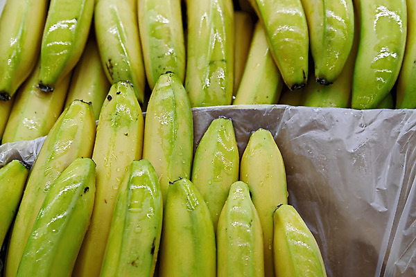 포토 JPG 해외이미지 디자인 잡화 음식 백그라운드 컨셉 채소 가방 과일 실내 건강 종류 사람없음 내부 초록색 빛 쇼핑 세일 바구니 상점 신선 시장 구매 상품 쇼핑몰 고객 사인 무역 유기농 통로 상업 냉장고 모음 소매 슈퍼마켓 줄서기 해외202004 해외포토 웰빙 산업 컬러 모션 가전제품 파일형식 이미지허브