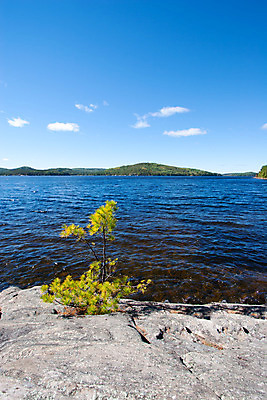 포토 JPG 해외이미지 나무 구름 계절 공원 호수 바다 여행 자연 하늘 산 풍경 사람없음 야외 초록색 물 여름 파란색 강 컬러풀 햇빛 환경 맑음 봄 활발 성장 바위 소나무 숲 언덕 내추럴 묘목 생태학 혼자 화강암 수평선 해외202004 해외포토 자연요소 식물 공공시설 교육 컬러 컨셉 날씨 태양 암석 돌_바위 생태계 파일형식 이미지허브