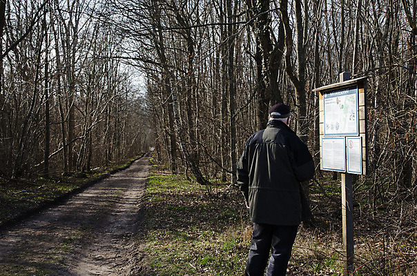 포토 JPG 해외이미지 나무 라이프스타일 남자 도로 야생동물 자연 휴가 스웨덴 한명 사람 풍경 성인 야외 독서 환경 하이킹 정보 숲 사인 내추럴 보호구역 해외202004 해외포토 식물 동물 1 길 교통시설 레저 북유럽 생활 생태계 구역 파일형식 이미지허브