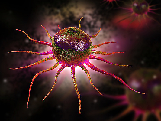 포토 JPG 해외이미지 줄기 백그라운드 일러스트 모션 상상 추상 세포 사람없음 그래픽 파란색 3D 디지털 오르간 만들기 유전 조작 셀룰러 효과 해외202004 해외포토 식물 컬러 무늬 건반악기 디지털합성 파일형식 이미지허브