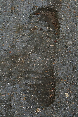 포토 JPG 해외이미지 선물 사람없음 자취 해외202004 해외포토 파일형식 이미지허브