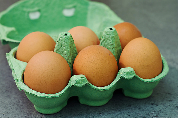 포토 JPG 해외이미지 음식 백그라운드 일러스트 재료 자연 부활절 주택 건강 요리 사람없음 상자 농장 갈색 노란색 치킨 껍질 신선 그룹 사발 둥지 아침식사 먹기 심볼 유기농 날것 내추럴 고립 단백질 바이오 암탉 해외202004 해외포토 웰빙 기념일 컬러 농업 모션 건물 식사 닭 사기그릇 암컷 생태계 닭고기요리 영양소 파일형식 이미지허브