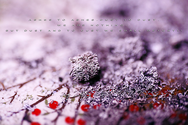 포토 JPG 해외이미지 디자인 행복 문장 백그라운드 컨셉 패턴 텍스트 모션 자연 성공 추상 프레임 타이포그라피 사람없음 장식 단어 꿈 자유 메시지 숲 방향 사인 질감 긍정 캔버스 격려 의견 속담 골 레터링 스타일 해외202004 해외포토 문자 감정 무늬 생태계 파일형식 이미지허브