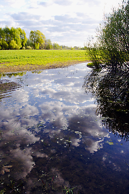 포토 JPG 해외이미지 나무 식물 구름 계절 백그라운드 밭 농업 자연 하늘 풍경 사람없음 야외 초록색 물 파란색 빛 농작물 햇빛 태양 농장 농경지 반사 환경 봄 시골 신선 땅 내추럴 밭일 수평선 해외202004 해외포토 자연요소 산업 컬러 생태계 파일형식 이미지허브