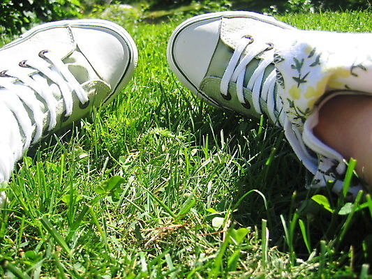 포토 JPG 해외이미지 꽃 신발 사람없음 초록색 여름 해외202004 해외포토 식물 계절 컬러 파일형식 이미지허브