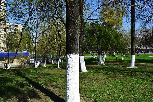 포토 JPG 해외이미지 나무 백그라운드 패턴 건축양식 표면 날씨 벽돌 주택 사람없음 야외 건물 목재 가로 페인트 골동품 흰색 도시 널 낟알 질감 시멘트 옛날 콘크리트 스타일 해외202004 해외포토 식물 건축물 건축 컬러 무늬 재료 파일형식 이미지허브