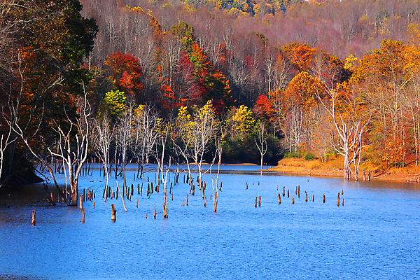 포토 JPG 해외이미지 나무 계절 공원 호수 잎 오렌지 자연 풍경 사람없음 야외 빨간색 초록색 물 파란색 강 컬러풀 반사 노란색 평화 침묵 가을 시골 연못 황무지 황금 숲 장면 10월 내추럴 서쪽 해외202004 해외포토 자연요소 식물 공공시설 컬러 컨셉 과일 소리 날짜 방향 생태계 파일형식 이미지허브