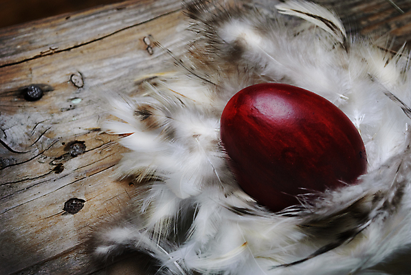 포토 JPG 해외이미지 전통 디자인 계절 행복 종교 음식 백그라운드 컨셉 패턴 자연 조류 휴가 부활절 기념 사람없음 목재 장식 빨간색 컬러풀 갈색 바구니 계란 축제 치킨 침묵 페인트 봄 수확 시골 축하 시간 둥지 널 심볼 깃털 질감 밀짚 내추럴 그런지 해외202004 해외포토 나무 동물 기념일 감정 컬러 무늬 농업 재료 알 소리 짚 생태계 닭고기요리 파일형식 이미지허브