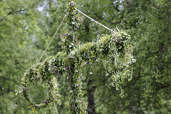 포토 JPG 해외이미지 전통 꽃 문화 십자가 잎 스웨덴 사람없음 닫기 정상 옷입기 봉 자작나무 해외202004 해외포토 나무 식물 모션 북유럽 파일형식 이미지허브