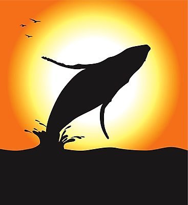 EPS 해외이미지 실루엣 바다 오렌지 일러스트 포유류 물 태양 검은색 일몰 고래 해외202004 해외일러스트 자연요소 동물 컬러 과일 촬영기법 노을 수중동물 파일형식 벡터 이미지허브